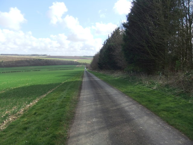 The long road down Thirkleby Wold
