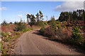 NH4837 : Forest track, Boblainy Forest by Craig Wallace
