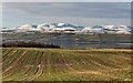 NH5857 : Field at Duncaston by valenta
