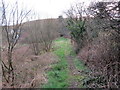 Llwybr yn Rhosaman / Path in Rhosaman