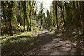 Wray Valley Trail approaching Lustleigh