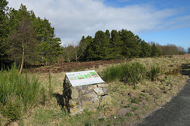 Information Board © Anne Burgess cc-by-sa/2.0 :: Geograph Britain and ...