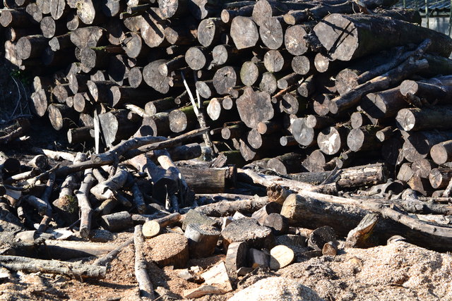Logs at Charlton Sawmill