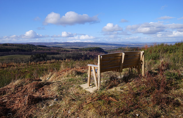 Bench with a view, Boblainy Forest