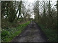 The byway from Moorside Farm