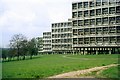 TQ2174 : Alton West Estate, Roehampton, 1966 – 13 by Alan Murray-Rust