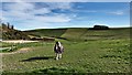 Horse near Upper Maudlin Farm