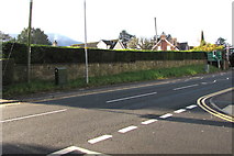SO2914 : Long wall and hedge, Brecon Road, Abergavenny by Jaggery