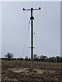 Telegraph pole in ploughed field