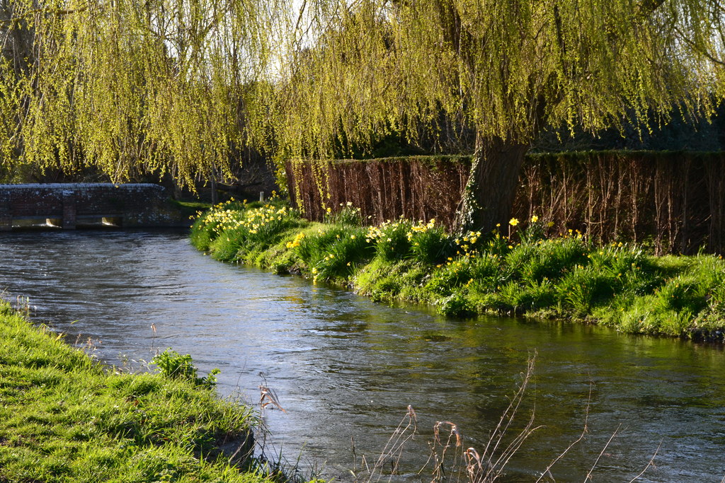 River Lavant beside the green at East... © David Martin ccbysa/2.0