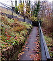 Zigzag path ascending to Camden Road, Brecon