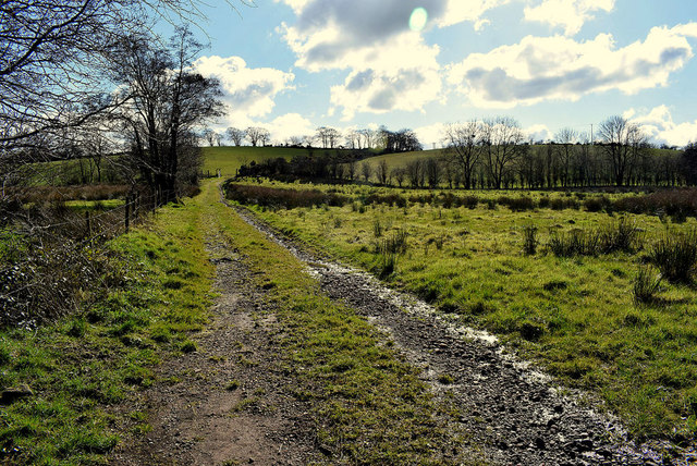 A rough lane, Roscavey © Kenneth Allen :: Geograph Ireland