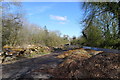 Wood storage outside Park Farm, Skeffington