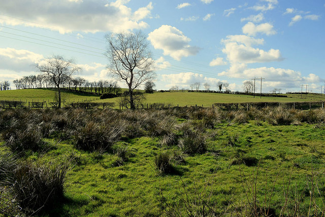 Rushy ground, Curr © Kenneth Allen :: Geograph Ireland