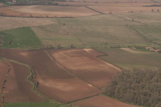 Parch marks on field next to Bulby Hall Wood: aerial 2020