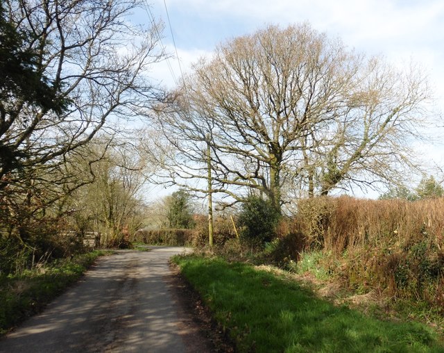 Sweetcombe Wood, East Devon - area information, map, walks and more