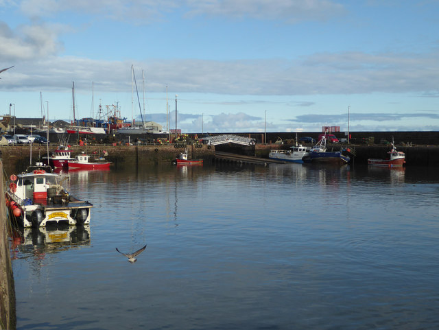 Arbroath Harbour © Chris Allen cc-by-sa/2.0 :: Geograph Britain and Ireland