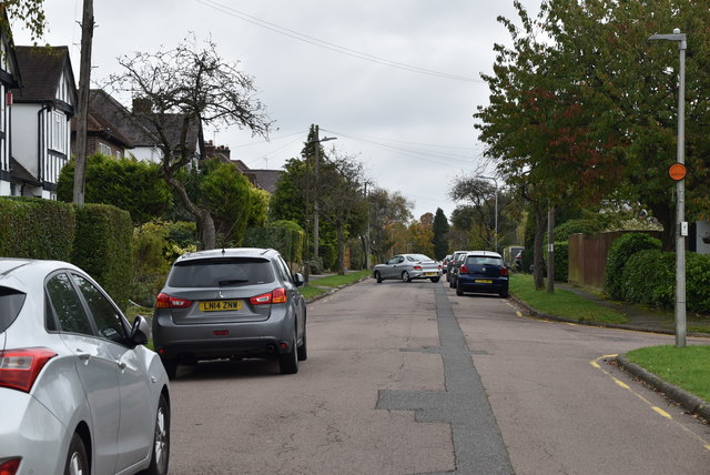 The Drive © N Chadwick :: Geograph Britain and Ireland