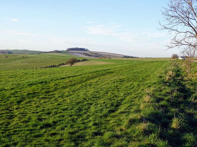 View north towards Four Mile Clump, Rockley