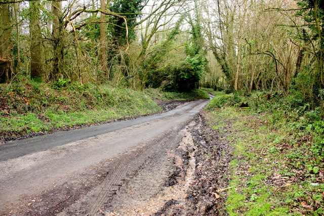 Wooley Lane