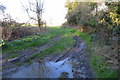 Footpath to Wilstone Reservoir