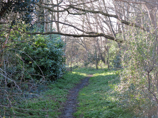 The course of the former Mill Hill East to Edgware railway line near The Meads