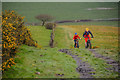 SS5729 : Bishop's Tawton : Track by Lewis Clarke