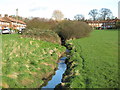 Burnt Oak Brook by The Meads (3)