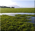 Surface water, Shatterford