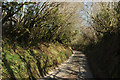 SX7063 : Lane to Reddacleave Kiln Cross by Derek Harper