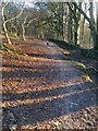 Path around Henlake Down