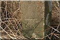 NO5711 : Benchmark on concrete post near Kilduncan by Becky Williamson