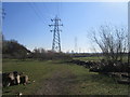 Pylons and old timber off Phoenix Parkway