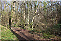 The Glen footpath