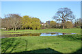 Flooded open space, Chertsey