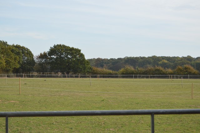Field near Cobham Wood