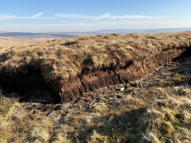 Peat outcrop