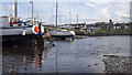 J5383 : Yachts, Groomsport harbour by Rossographer