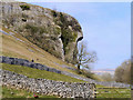 SD9768 : Kilnsey Crag by David Dixon