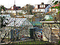 Deans Lane Allotments