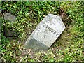 Old Milestone by the A392, east of White Cross