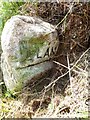 SW8961 : Old Guide Stone south of Trebudannon by Rosy Hanns