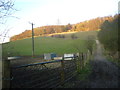 Public Bridleway from Flaunden Bottom