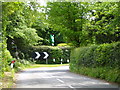 Green Dragon over Hedge at Flaunden