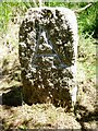 Old Boundary Marker