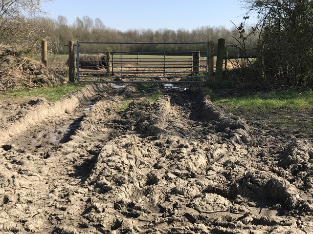 Dried mud in a field entrance off Rummers Lane