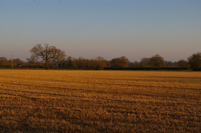 Field south of High House Farm