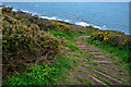 SX4150 : Maker-With-Rame : South West Coast Path by Lewis Clarke
