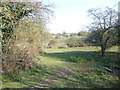 Horse fields at East Wickham