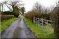 Gate along Woodbank Road